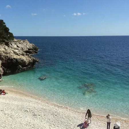 Sara Pomer
